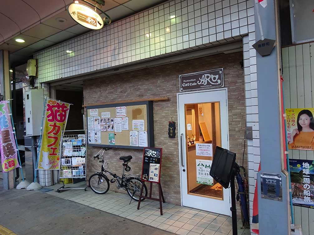 保護猫カフェ ａｒｏ 動物 趣味 カルチャー 上田まちなか商店街